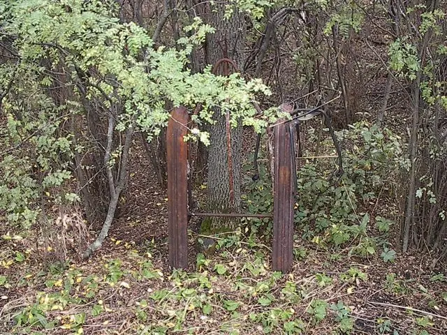 Rusted old sled runners in the bush